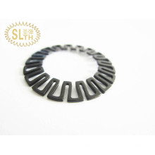 Slth-Ms-012 65mn Stainless Steel Metal Stamping Parts with Black Oxide